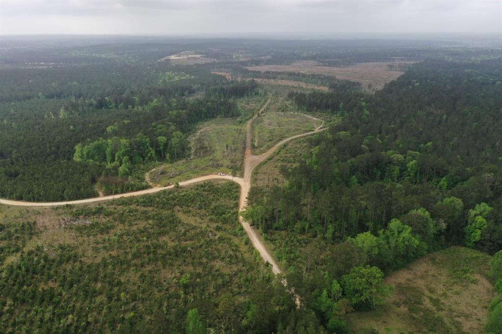 Cr 255, San Augustine, Texas image 10