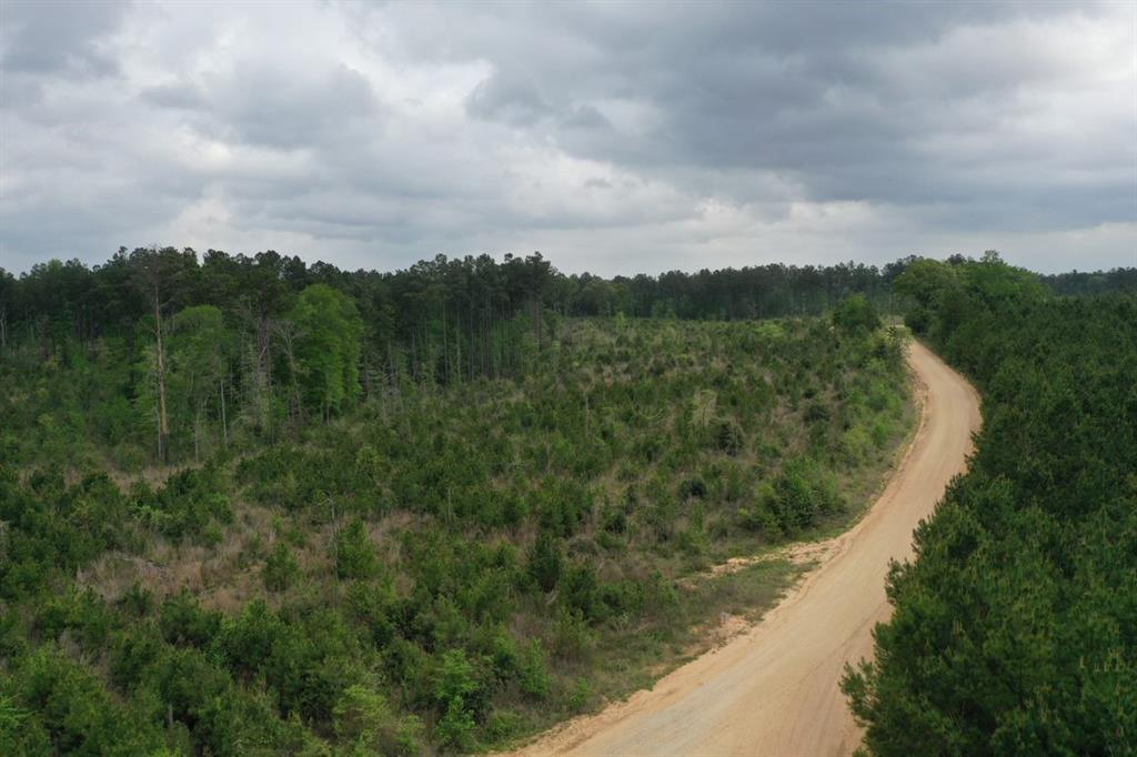 Cr 255, San Augustine, Texas image 5