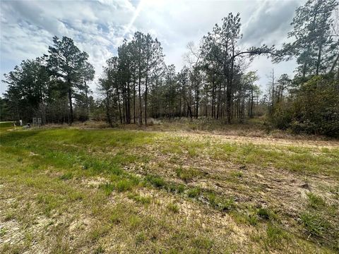 Photo of 219 Iron Horse Road, New Waverly, TX 77358 (MLS # 61328336)