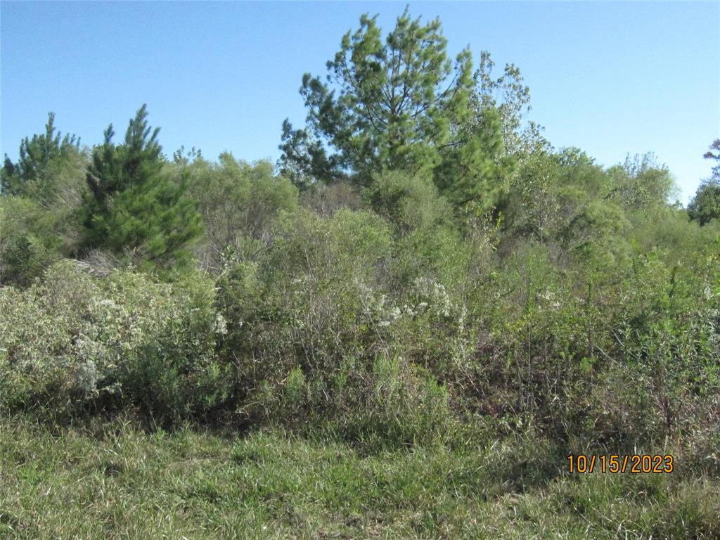 000 State Highway 249, Pinehurst, Texas image 3