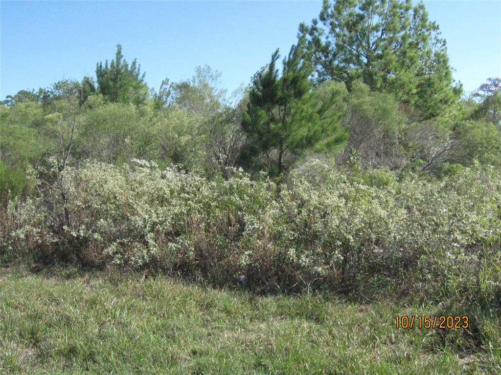 000 State Highway 249, Pinehurst, Texas image 4