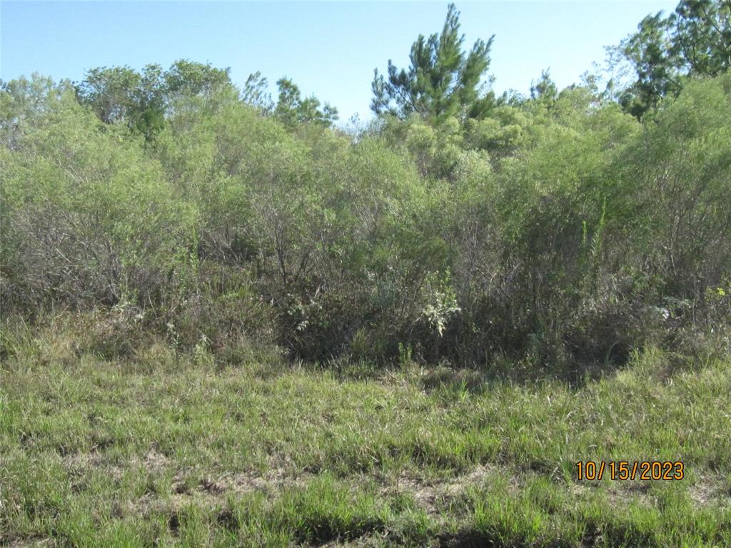 000 State Highway 249, Pinehurst, Texas image 5