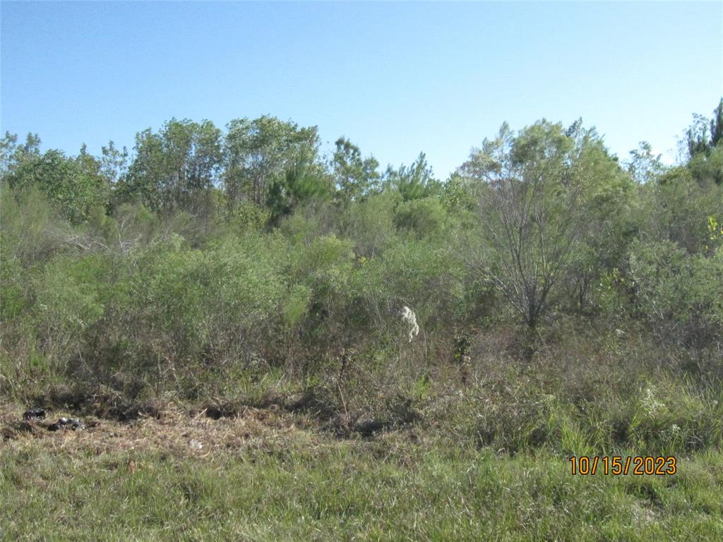 000 State Highway 249, Pinehurst, Texas image 6