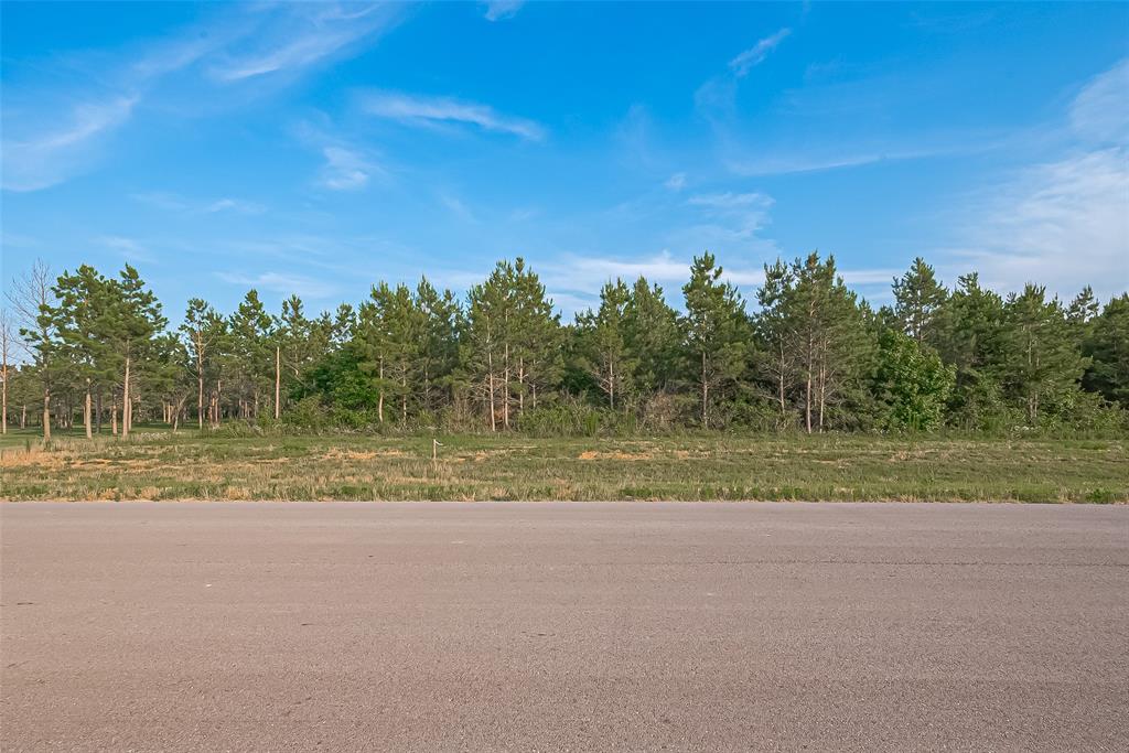 15831 Ridge Oak Road, Willis, Texas image 6
