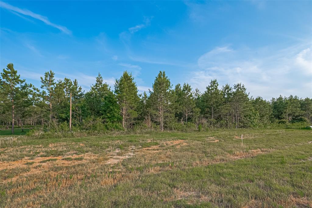 15831 Ridge Oak Road, Willis, Texas image 8