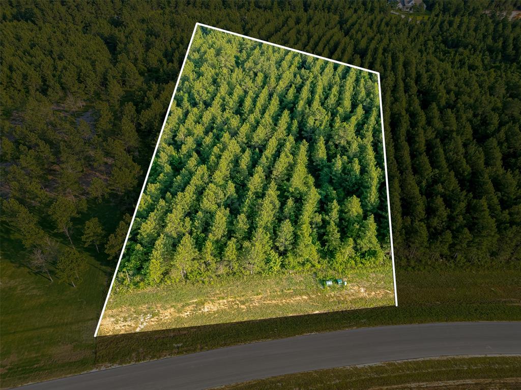 15831 Ridge Oak Road, Willis, Texas image 2
