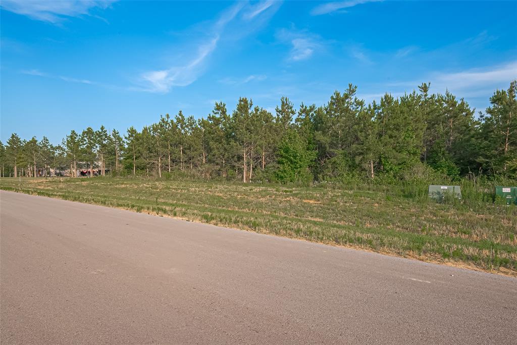 15831 Ridge Oak Road, Willis, Texas image 5