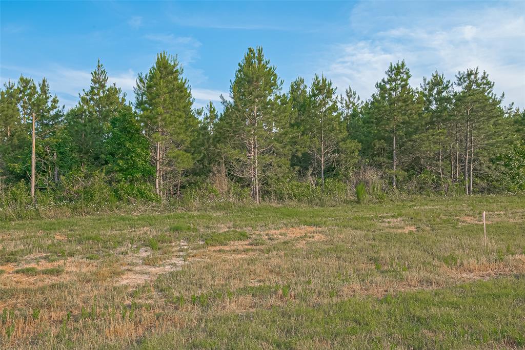 15831 Ridge Oak Road, Willis, Texas image 9