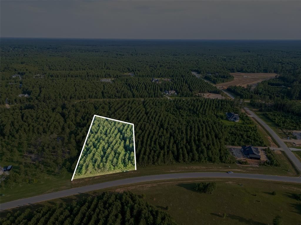 15831 Ridge Oak Road, Willis, Texas image 1