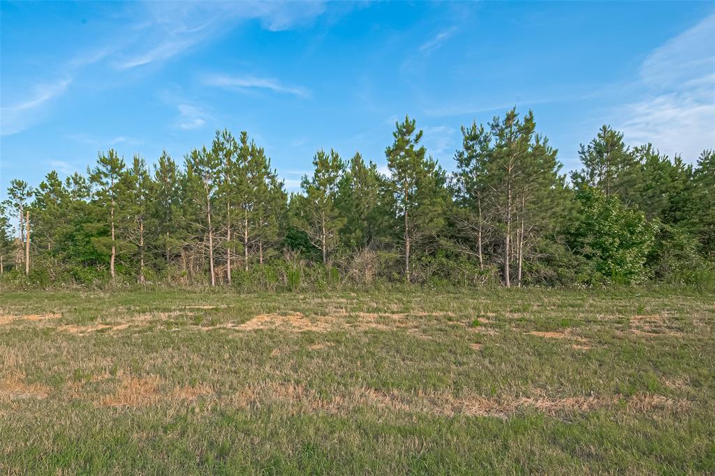 15831 Ridge Oak Road, Willis, Texas image 10
