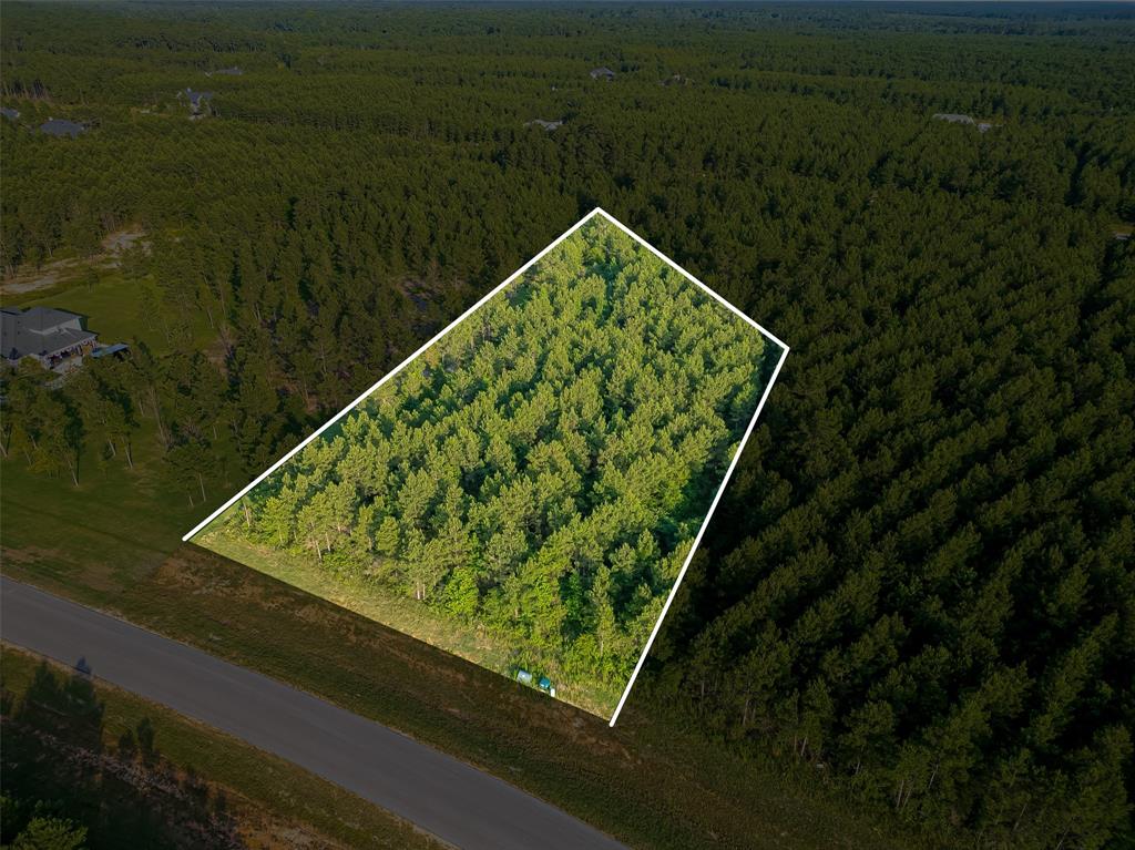 15831 Ridge Oak Road, Willis, Texas image 13