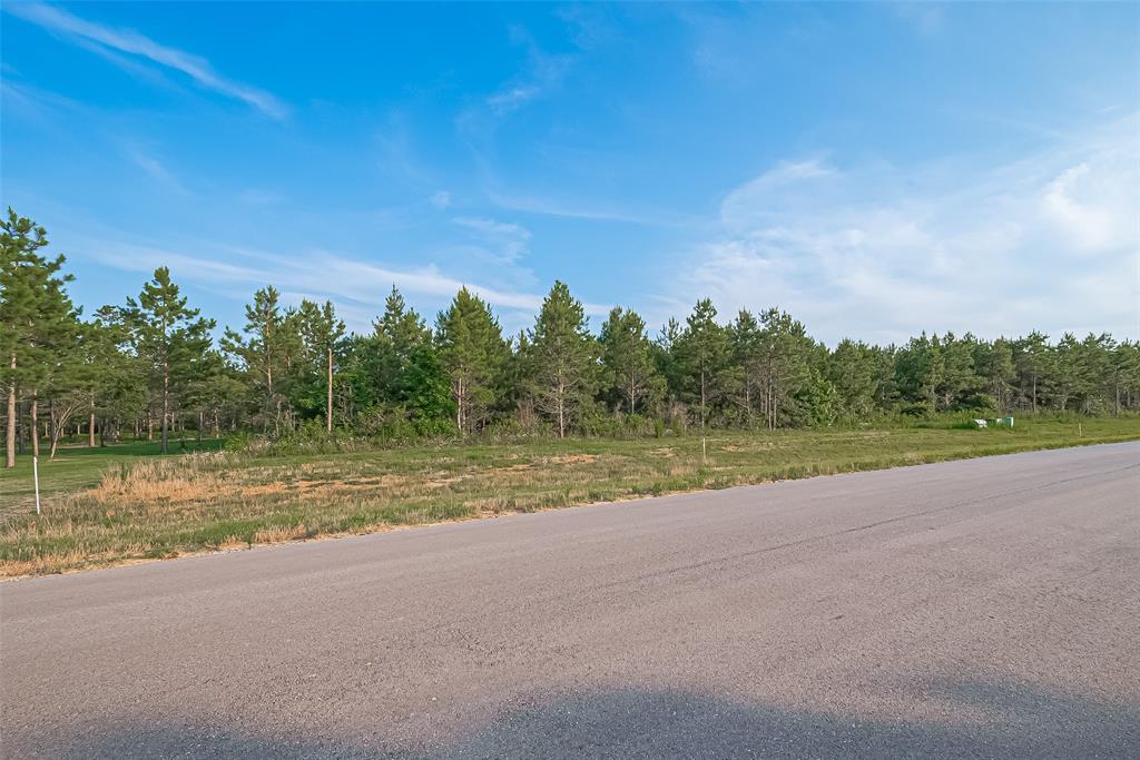 15831 Ridge Oak Road, Willis, Texas image 7