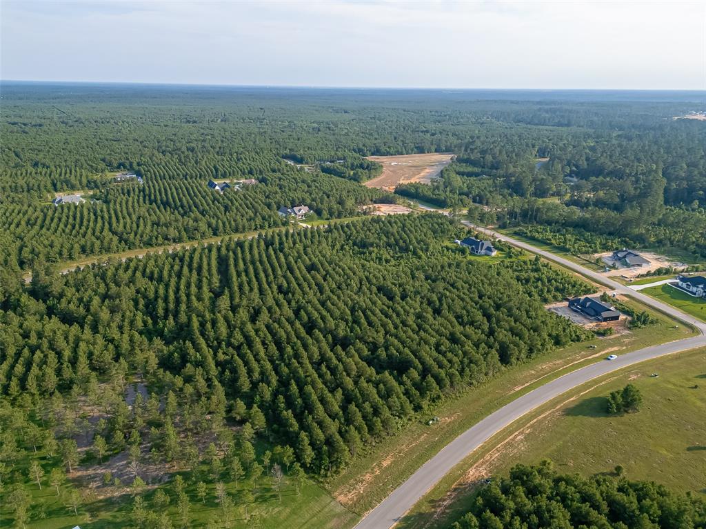 15831 Ridge Oak Road, Willis, Texas image 12