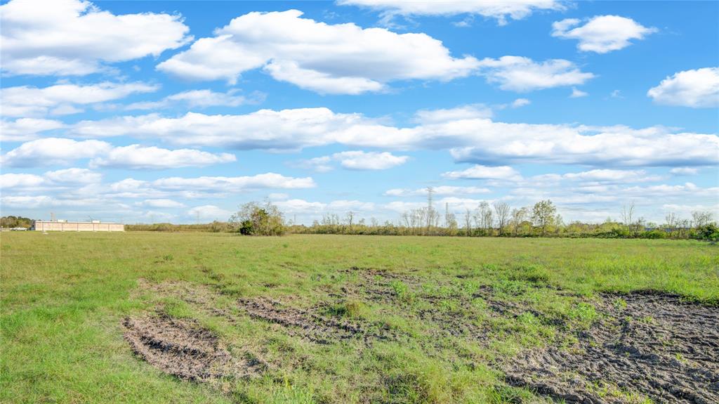 Hwy 6 Road, Manvel, Texas image 10