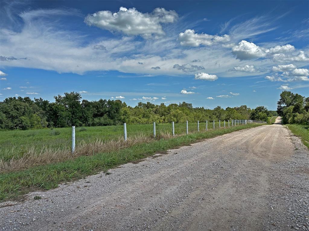 - Heinecke Road, Washington, Texas image 2