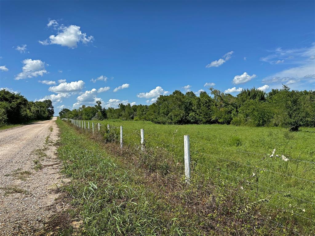 - Heinecke Road, Washington, Texas image 9