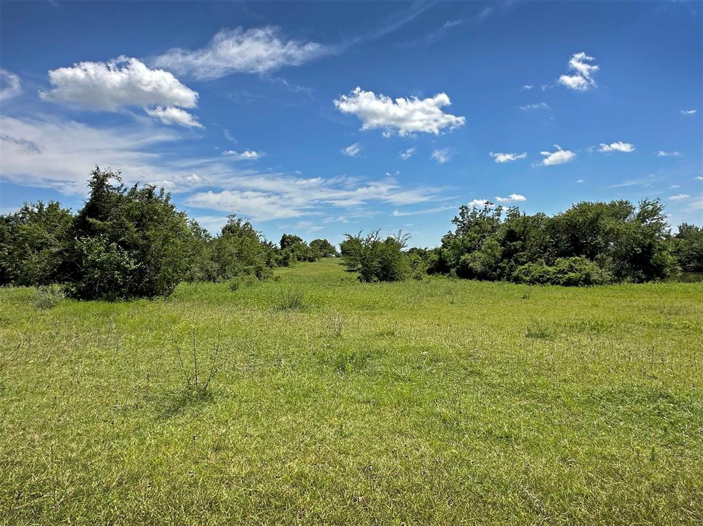 - Heinecke Road, Washington, Texas image 4