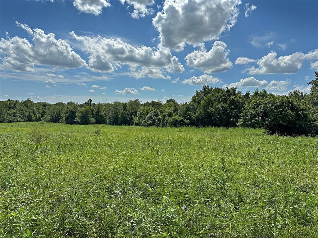 - Heinecke Road, Washington, Texas image 6