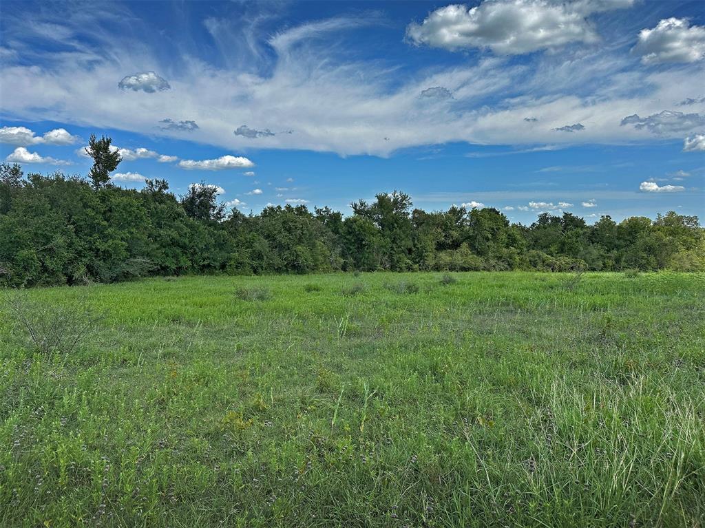 - Heinecke Road, Washington, Texas image 7