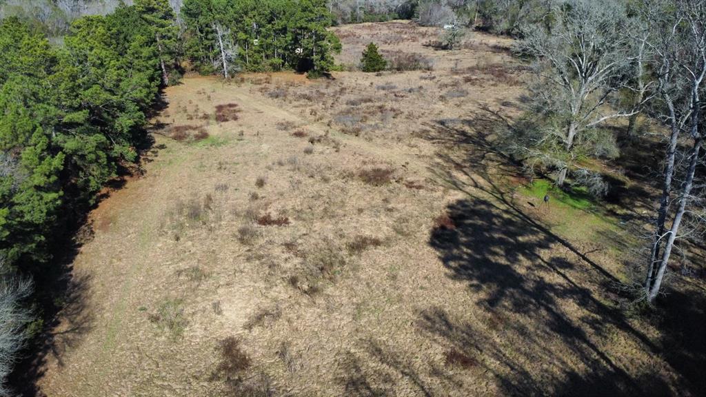 2519 County Road 131, Centerville, Texas image 18