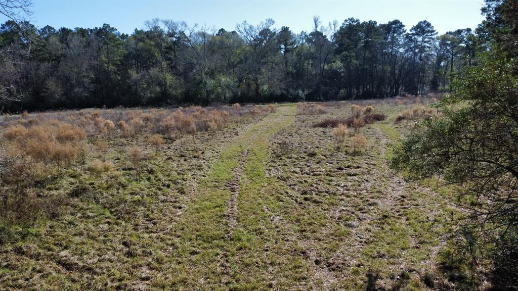 2519 County Road 131, Centerville, Texas image 17