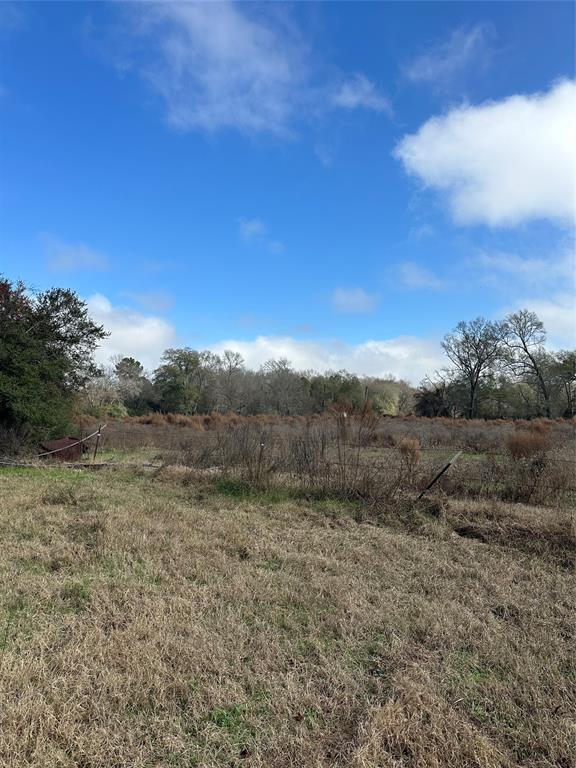 2519 County Road 131, Centerville, Texas image 9