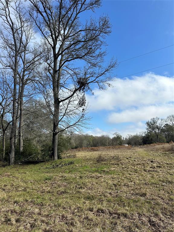 2519 County Road 131, Centerville, Texas image 15