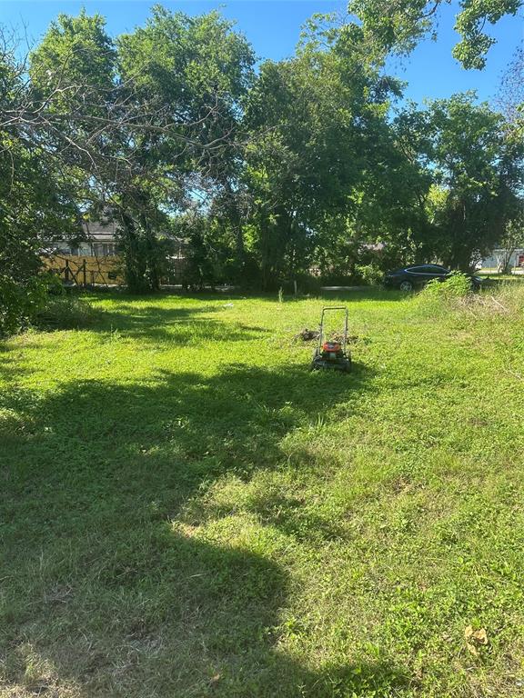 1106 Rufus Street, Richmond, Texas image 1