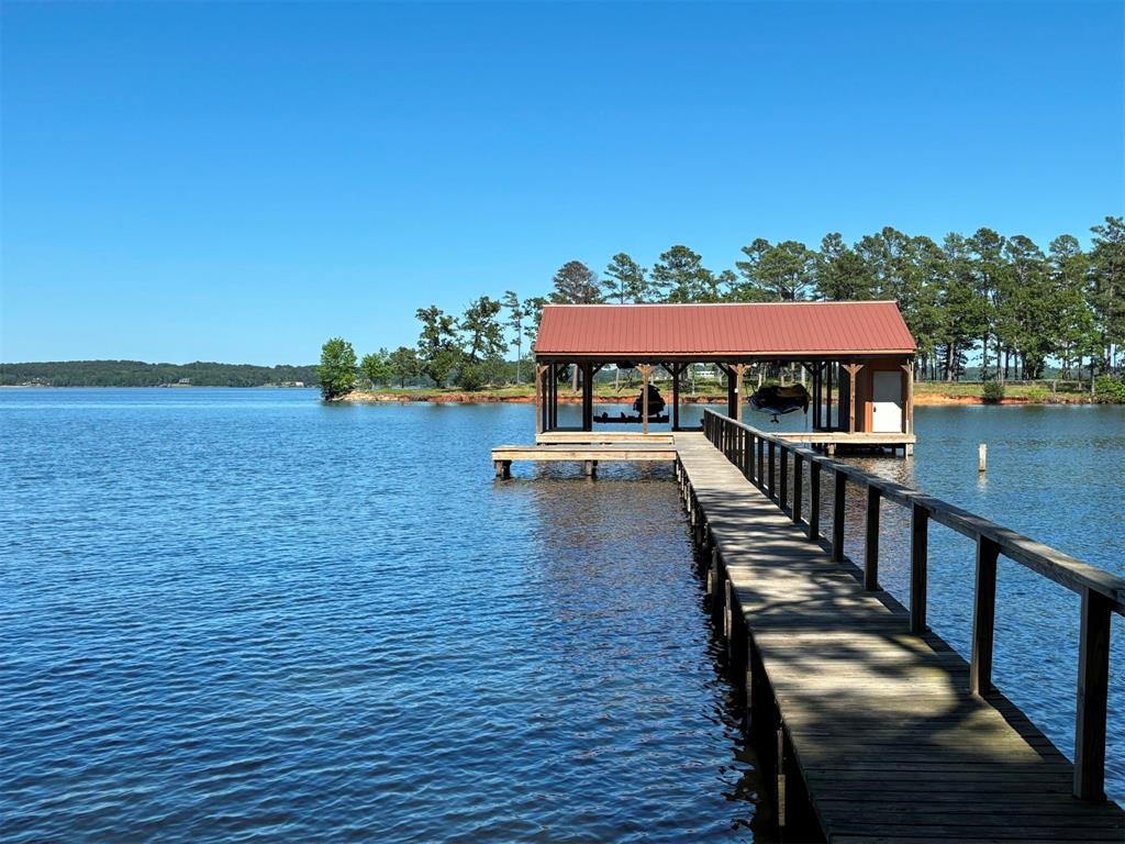 22023 Brierwood Drive, Frankston, Texas image 26