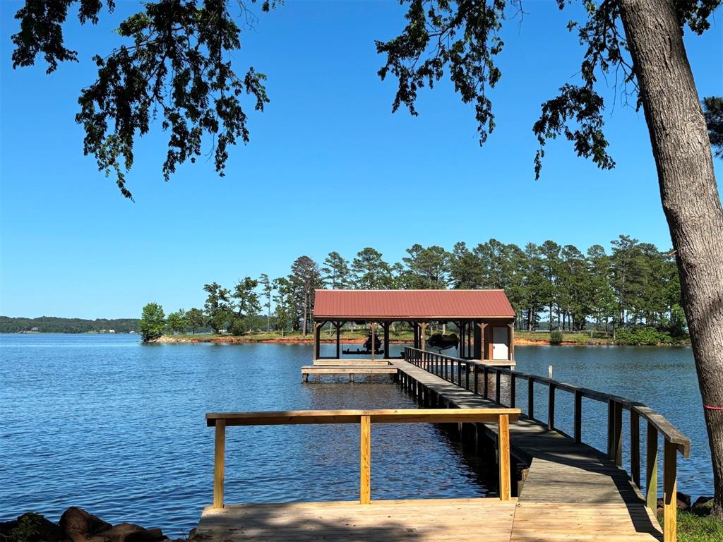 22023 Brierwood Drive, Frankston, Texas image 25