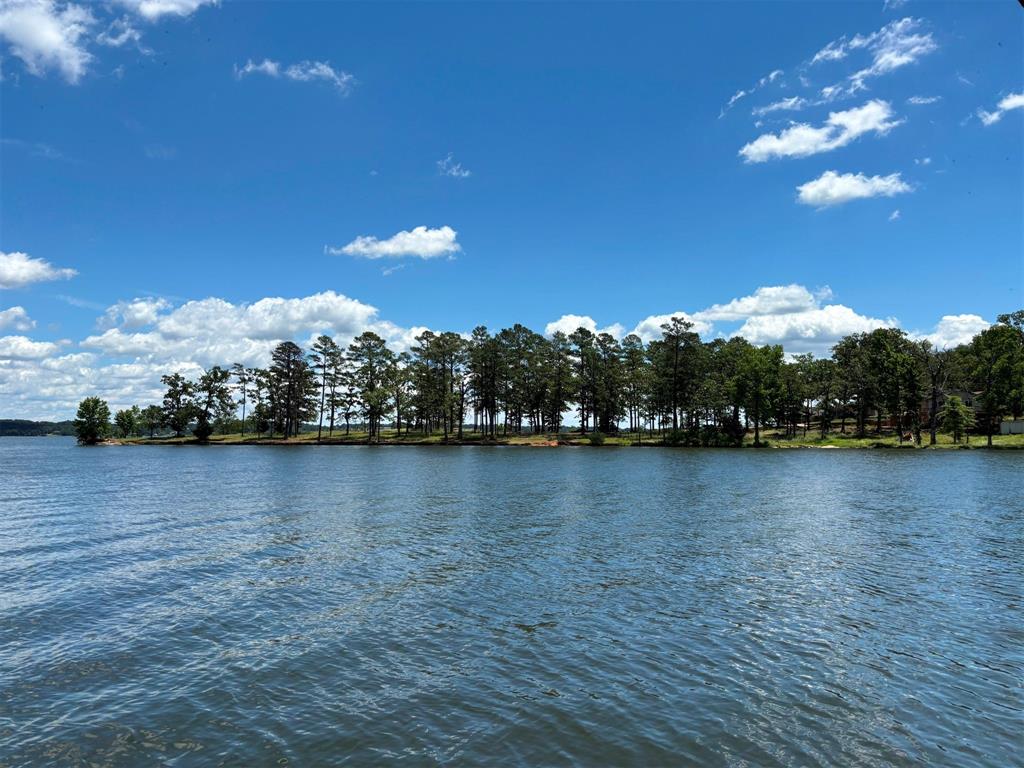 22023 Brierwood Drive, Frankston, Texas image 29