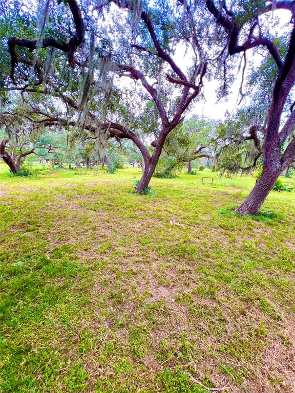 000 County Road 684, Sweeny, Texas image 4