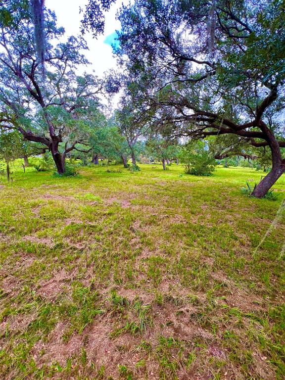 000 County Road 684, Sweeny, Texas image 6