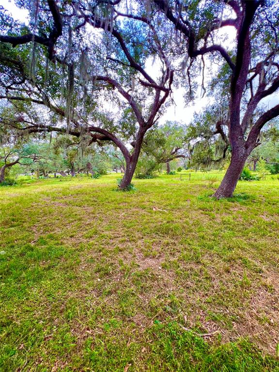 000 County Road 684, Sweeny, Texas image 3