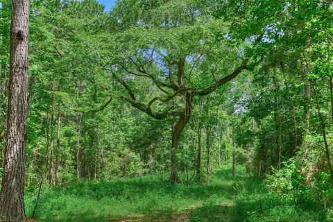 Tract C Sharp View Road Montgomery TX 77356