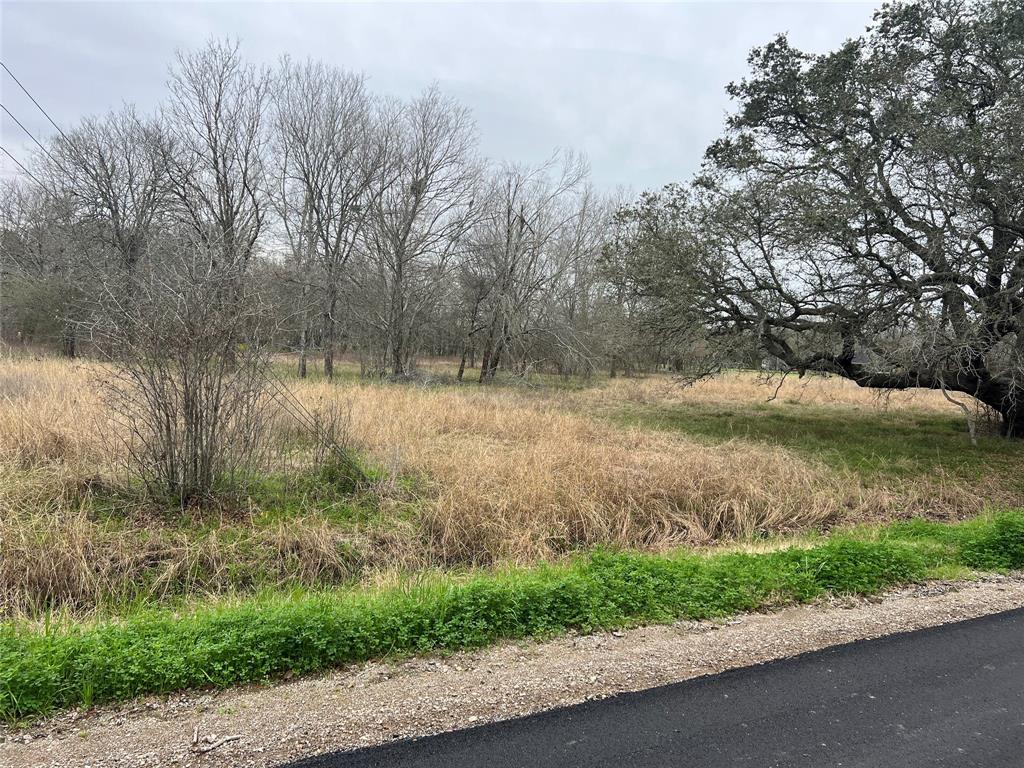 Fenn Rd, Rosharon, Texas image 8