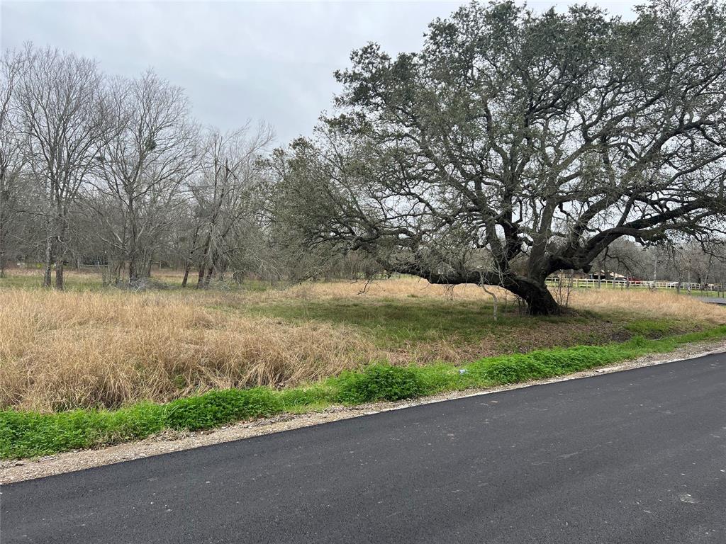 Fenn Rd, Rosharon, Texas image 7