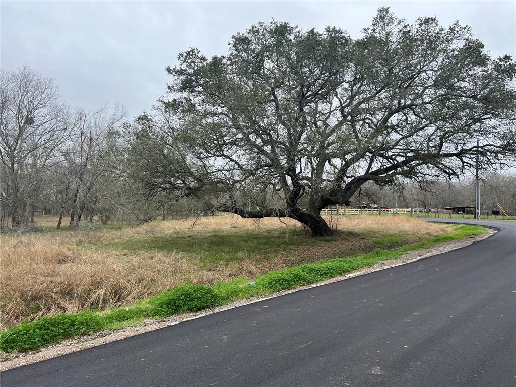 Fenn Rd, Rosharon, Texas image 4