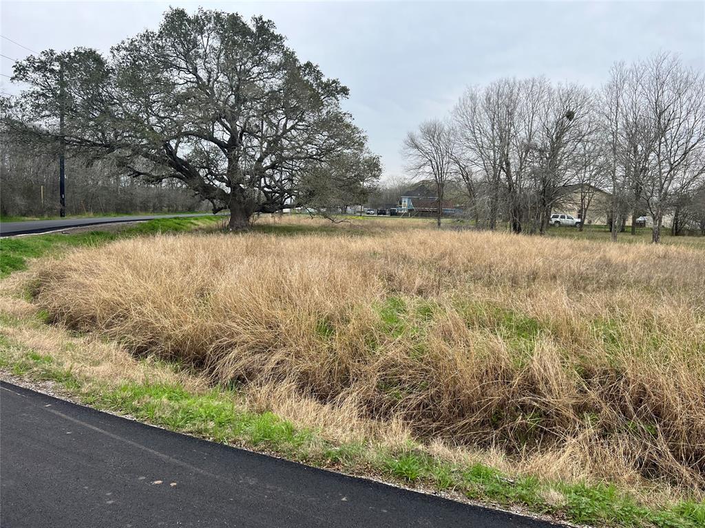 Fenn Rd, Rosharon, Texas image 16