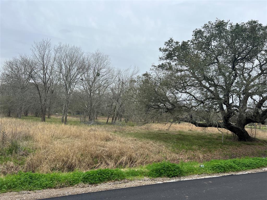 Fenn Rd, Rosharon, Texas image 2