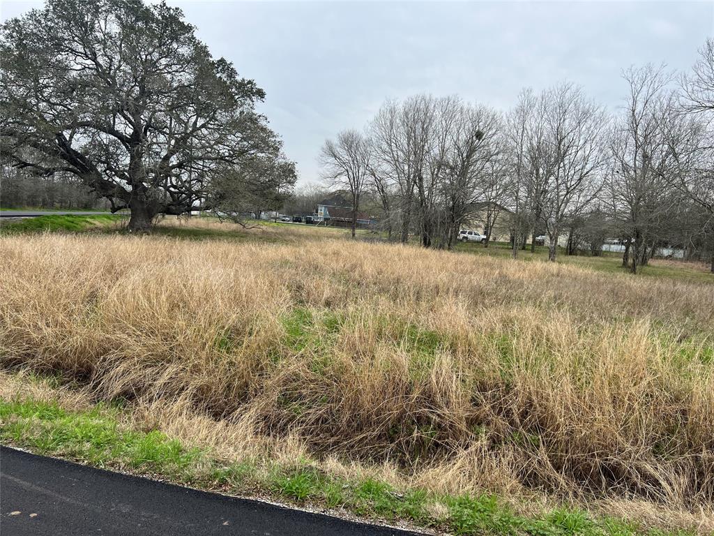 Fenn Rd, Rosharon, Texas image 14