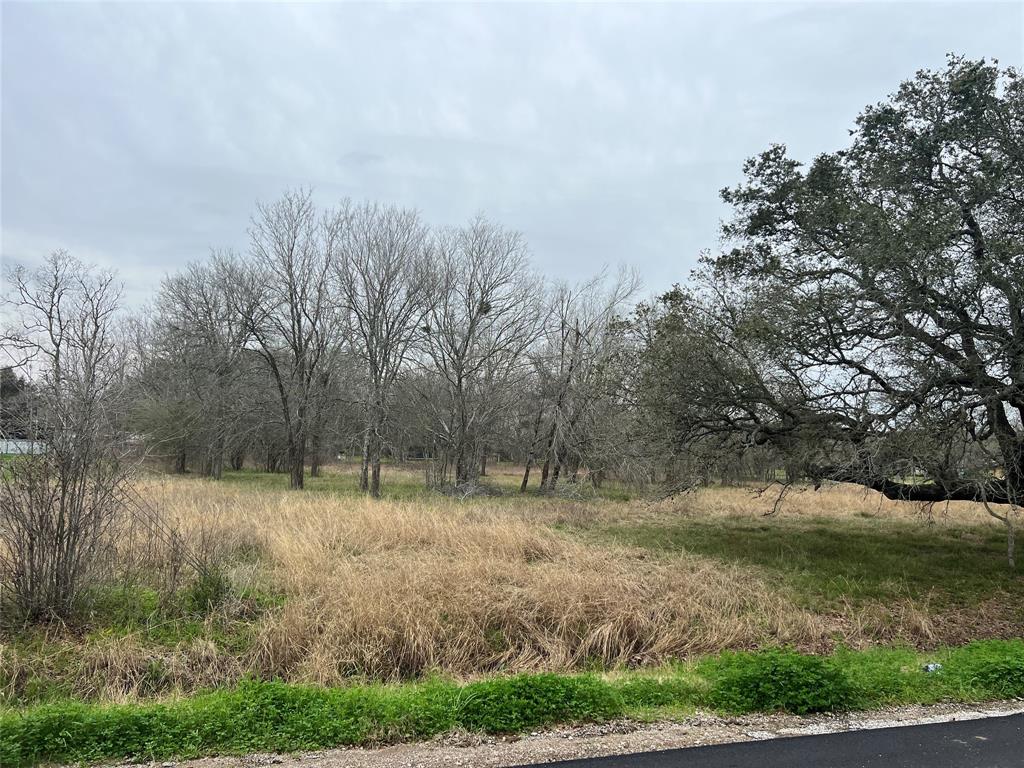 Fenn Rd, Rosharon, Texas image 1