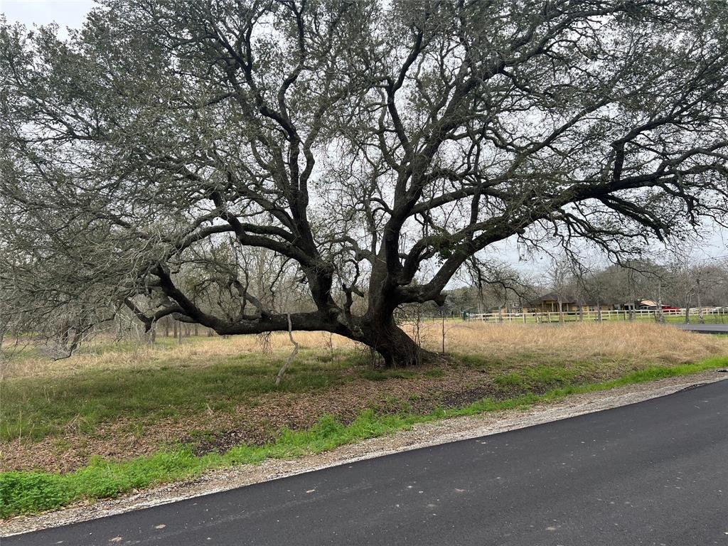 Fenn Rd, Rosharon, Texas image 13