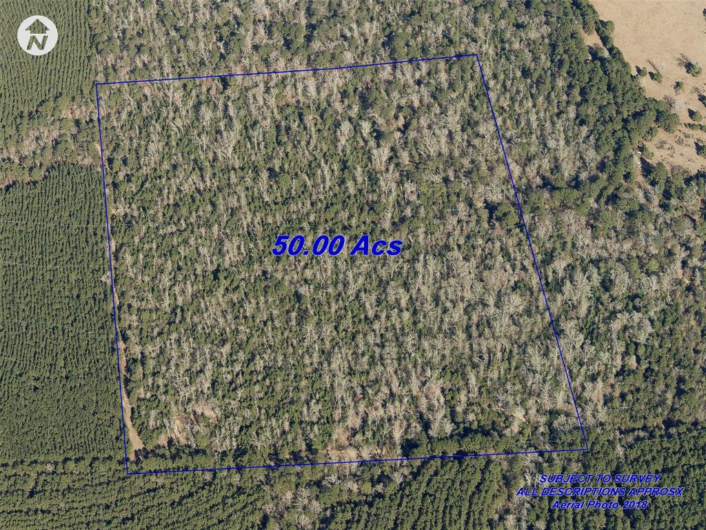 Off County Road 2777, Woodville, Texas image 6