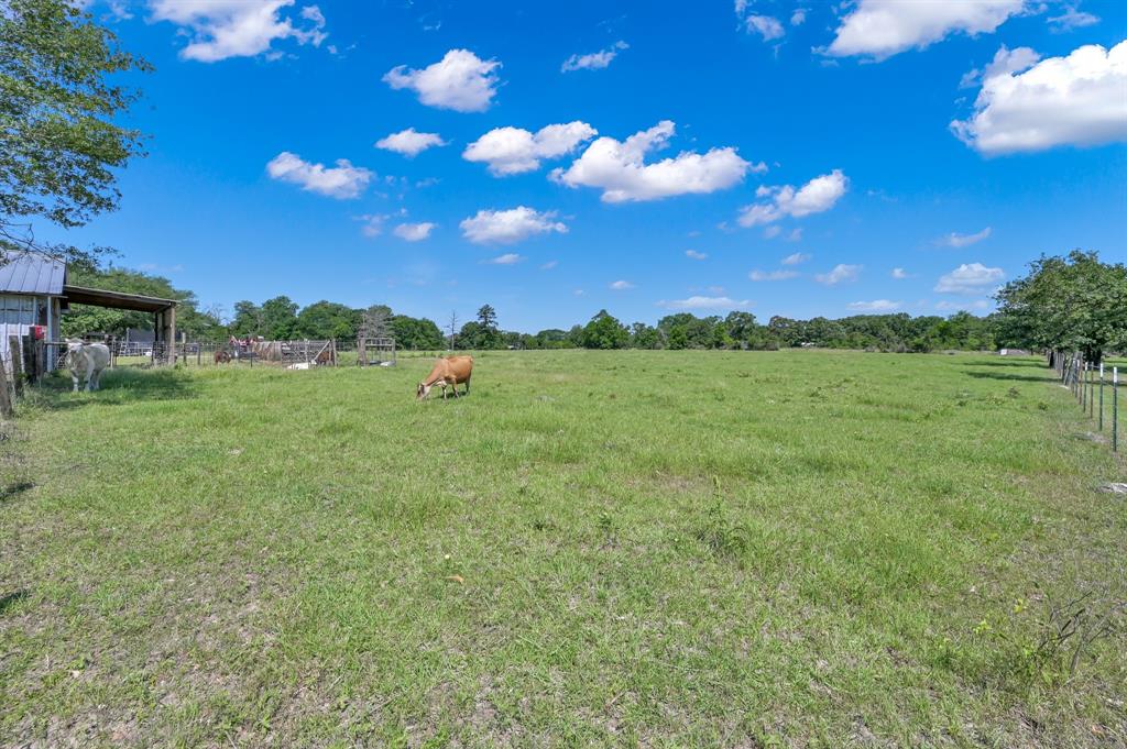 4 Crute Drive, Huntsville, Texas image 39