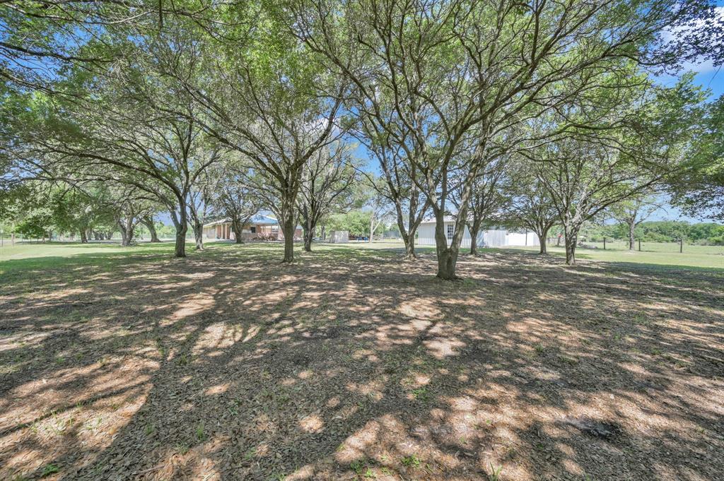 4 Crute Drive, Huntsville, Texas image 38
