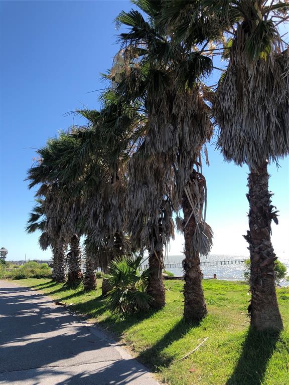 Fm 517 Rd East, San Leon, Texas image 20