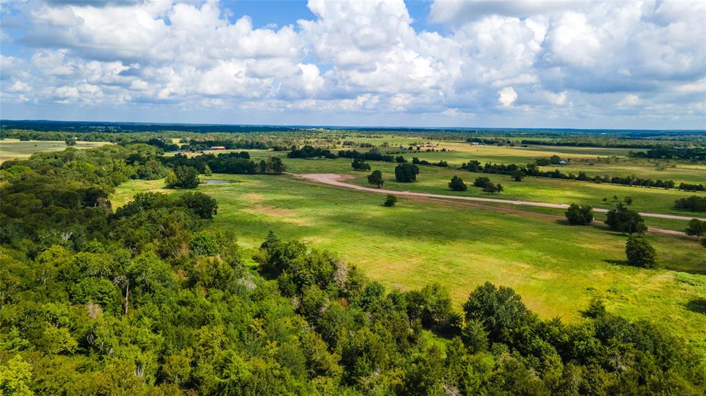 TBD Hudson Farms Road - 12 Acres Tract 3, Franklin, Texas image 4