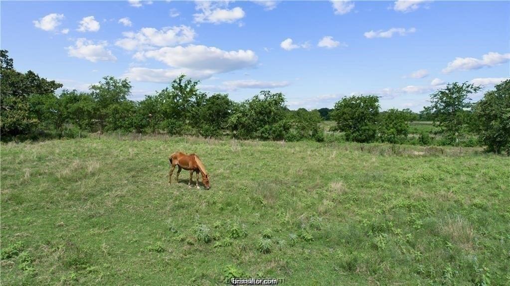 16646 Kelton Ln, Iola, Texas image 23