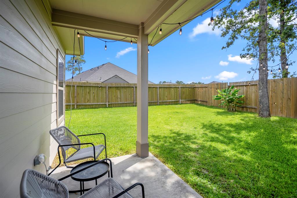 10153 Whooping Crane Way, Magnolia, Texas image 30